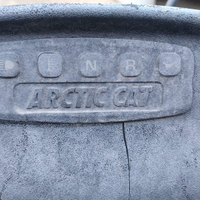 Artic cat