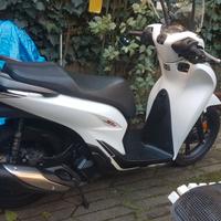 Honda sh 125 sport