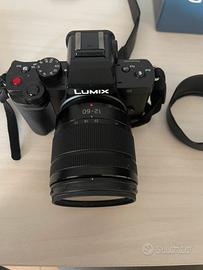 Panasonic G100 12-60 WR