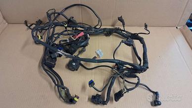Cablaggio elettrico Ducati Monster S2R 800 S2r800