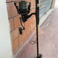 Canna da carpfishing sonik