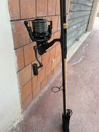 Canna da carpfishing sonik