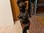 Immagine 3