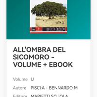 all'ombra del sicomoro 