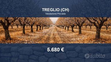 Immobile in asta di 2525 m² a Treglio