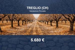 Immobile in asta di 2525 m² a Treglio