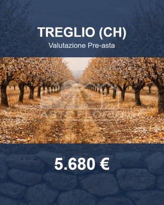 Immobile in asta di 2525 m² a Treglio