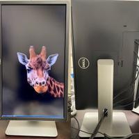 Monitor DELL 2415Q 24pollici UHD 16:9 risoluz. 4K