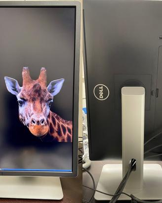 Monitor DELL 2415Q 24pollici UHD 16:9 risoluz. 4K