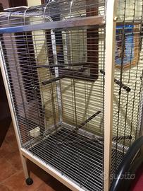 Voliera per pappagalli