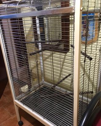 Voliera per pappagalli