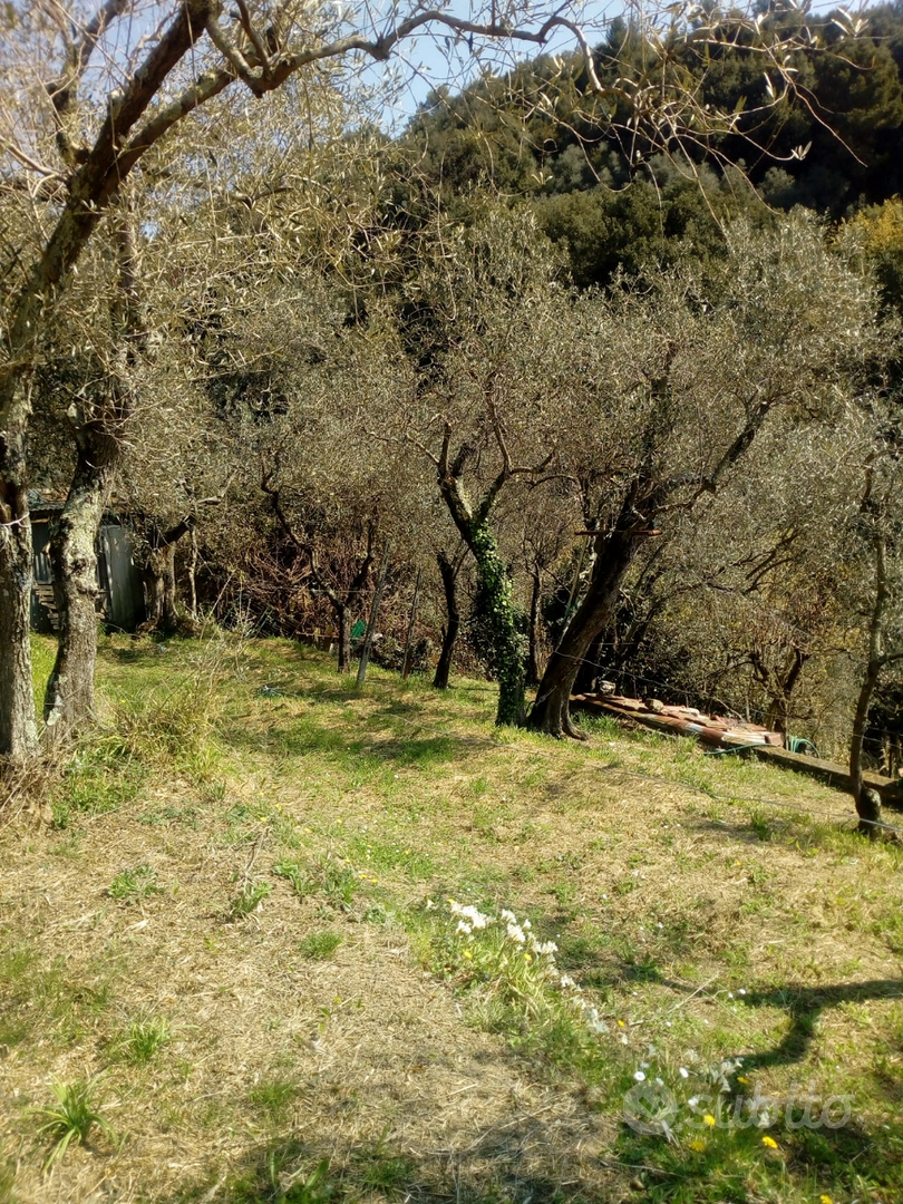 Terreno agricolo Muggiano La Spezia - Vista 2