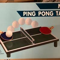 Tavolo da ping pong mini