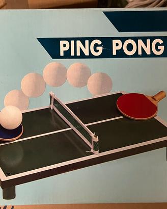 Tavolo da ping pong mini