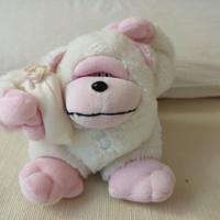 Peluches di dimensioni medie e piccoli