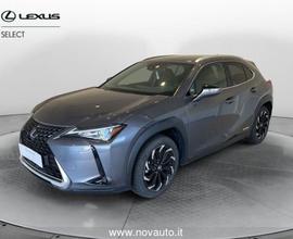 Lexus UX Hybrid 4WD Executive