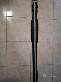 cintura pesi