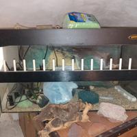 Acquario acquaterrario tartarughiera marca Octopus