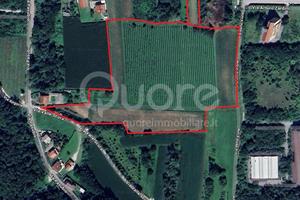 Terreno Agricolo - Tarcento