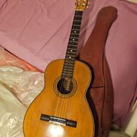 Chitarra Ferrarotti Torino