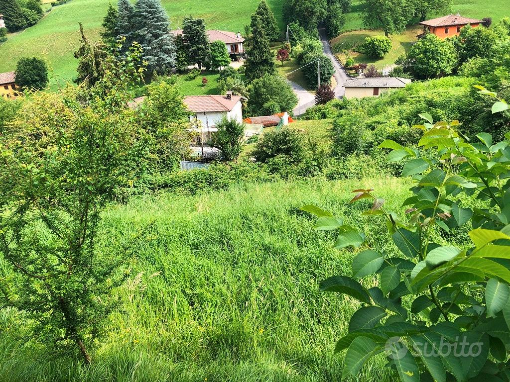 Terreno edificabile di 1990 mq - Vista 4