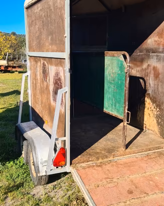 Trailer trasporto cavalli due posti