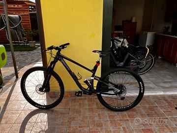 Sunn  kern am s3 2021