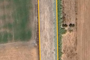 Agrumeto e terreni a monastir di varie dimensioni