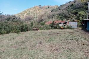 Rustico