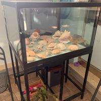 Acquario