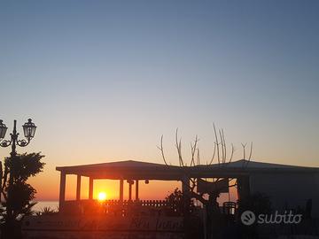 Attività commerciale