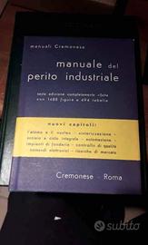 Manuale Perito Elettrotecnico, Impianti.