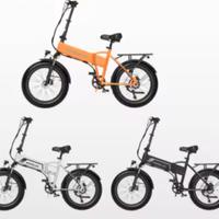 Bicicletta elettrica 750 con acceleratore