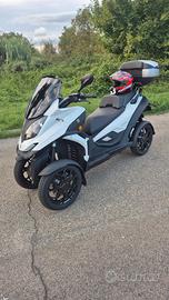 Quadro QOODER - 2021