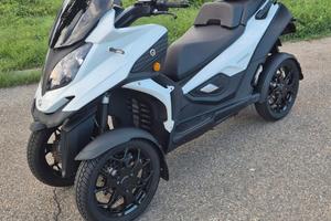 Quadro QOODER - 2021