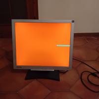 monitor LCD 19 pollici usato