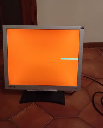 monitor LCD 19 pollici usato