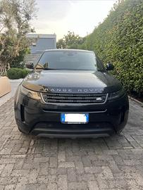 Evoque nera