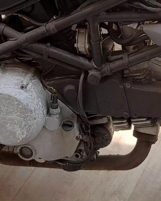 motore ducati monster 600