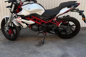 Moto Benelli BN125