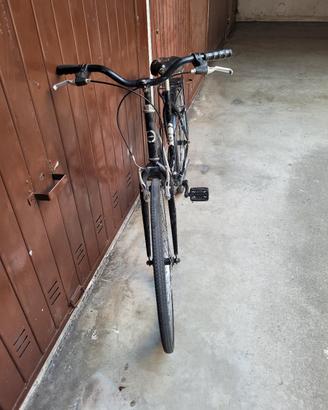 Bici olandesina 26