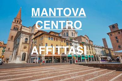 Monolocale-centro-mantova