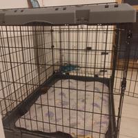 kennel ferplast nuovo usato 3 volte 