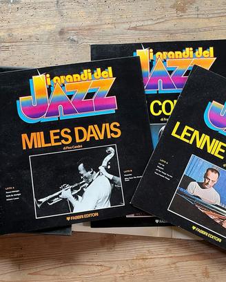 Dischi Vinili 'I grandi del Jazz' - SOLO RITIRO
