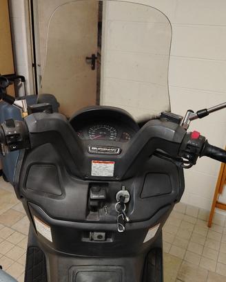 Suzuki burgman