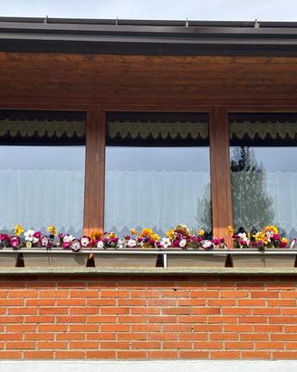artigianato -fiori in feltro vari colori e modelli