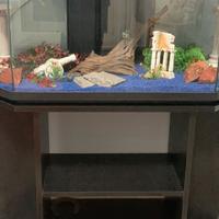Acquario con mobile
