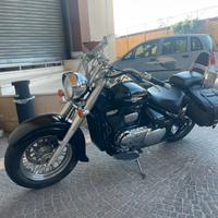 Suzuki intruder 800