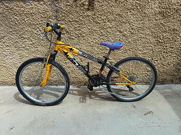 2 biciclette ruota da 24
