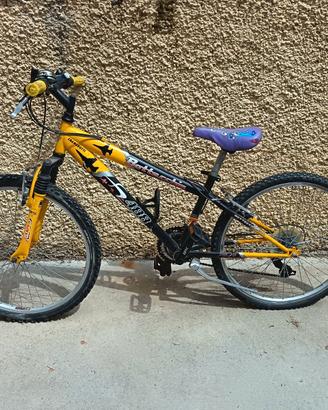 2 biciclette ruota da 24